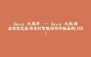 Java 大视界 -- Java 大数据在智慧交通信号灯智能控制中的应用(116)-拾光赋