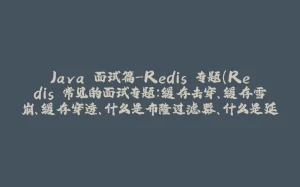 Java 面试篇-Redis 专题(Redis 常见的面试专题:缓存击穿、缓存雪崩、缓存穿透、什么是布隆过滤器、什么是延时双删、持久化的方式、Redis 分布式锁、I/O 多路复用等等)-拾光赋