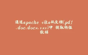 通过apache tika从文档(pdf、doc、docx、txt)中 提取特征数据-拾光赋