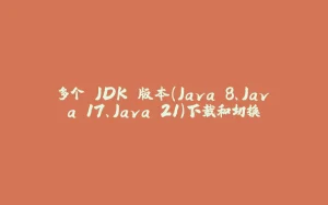 多个 JDK 版本（Java 8、Java 17、Java 21）下载和切换-拾光赋