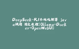 DeepSeek-R1本地化部署 java调用 图文教程（Ollama+Docker+OpenWebUI）-拾光赋