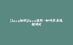 【Java知识】Java进阶-如何开启远程调式-拾光赋