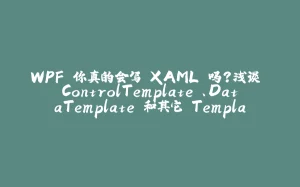 WPF 你真的会写 XAML 吗？浅谈 ControlTemplate 、DataTemplate 和其它 Template-拾光赋