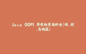 Java OOM 异常场景与排查(堆、栈、方法区)-拾光赋