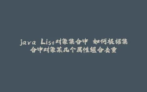 java List对象集合中 如何根据集合中对象某几个属性组合去重-拾光赋