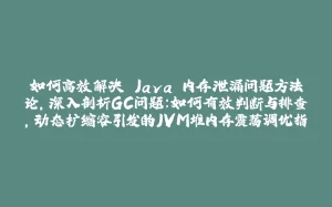 如何高效解决 Java 内存泄漏问题方法论,深入剖析GC问题：如何有效判断与排查,动态扩缩容引发的JVM堆内存震荡调优指南,显式 GC 的使用：留与去，如何选择？,过早晋升的识别与优化实战,如何选取合适的 NewRatio 值,解决 CMS Old GC 频繁触发,避免 CMS GC退化操作,堆外内存 OOM优化方案,解决单次 CMS Old GC 耗时长问题,高效解决MetaSpace OOM 问题-拾光赋
