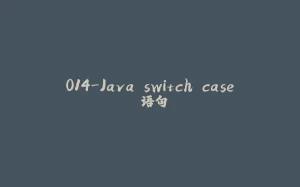 014-Java switch case 语句-拾光赋