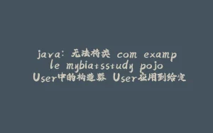 java: 无法将类 com.example.mybiatsstudy.pojo.User中的构造器 User应用到给定类型;-拾光赋