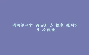 我的第一个 WinUI 3 程序，遇到了 5 次碰壁-拾光赋