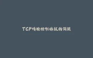 TCP传输控制协议的简谈-拾光赋