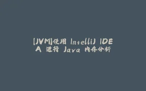 【JVM】使用 IntelliJ IDEA 进行 Java 内存分析-拾光赋