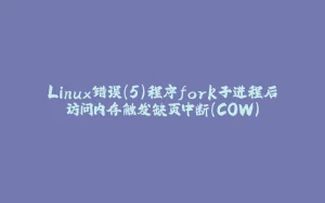 Linux错误(5)程序fork子进程后访问内存触发缺页中断(COW)-拾光赋