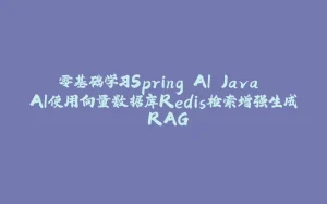 零基础学习Spring AI Java AI使用向量数据库Redis检索增强生成 RAG-拾光赋