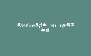 ShadowSql之.net sql拼写神器-拾光赋