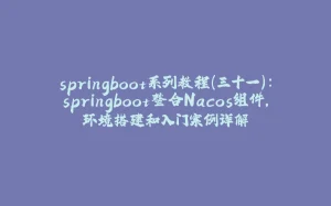 springboot系列教程（三十一）：springboot整合Nacos组件，环境搭建和入门案例详解-拾光赋