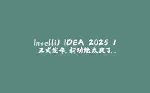 IntelliJ IDEA 2025.1 正式发布,新功能太爽了。。-拾光赋