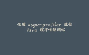 使用 async-profiler 进行 Java 程序性能调优-拾光赋