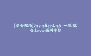 【安全靶场】JavaSecLab 一款综合Java漏洞平台-拾光赋