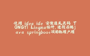 使用 idea ide 安装通义灵码 TONGYI Lingma插件，进行后端java springboot项目的用户用例的生成尝试及遇到问题的简单 处理方法。-拾光赋