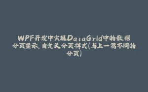 WPF开发中实现DataGrid中的数据分页显示，自定义分页样式（与上一篇不同的分页）-拾光赋