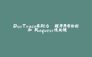 DotTrace系列：6. 程序异常诊断 和 Request慢处理-拾光赋