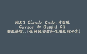 用上了 Claude Code，才发现 Cursor 和 Gemini Cli 都是弱智。。（保姆级安装和使用教程分享）-拾光赋
