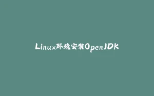 Linux环境安装OpenJDK-拾光赋