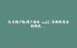 天才用户取用户名为 null,害我熬夜查到两点…….-拾光赋