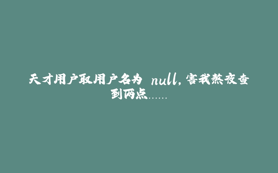 天才用户取用户名为 null，害我熬夜查到两点……. - 拾光赋-拾光赋