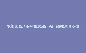 年度爆款！全球最火的 AI 编程工具合集-拾光赋