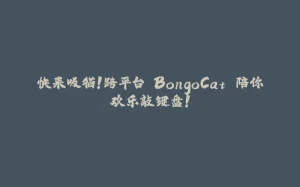 快来吸猫！跨平台 BongoCat 陪你欢乐敲键盘！-拾光赋