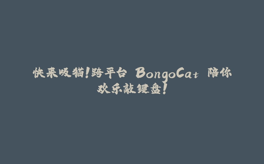快来吸猫！跨平台 BongoCat 陪你欢乐敲键盘！ - 拾光赋-拾光赋