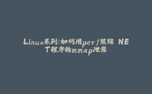 Linux系列：如何用perf跟踪.NET程序的mmap泄露-拾光赋