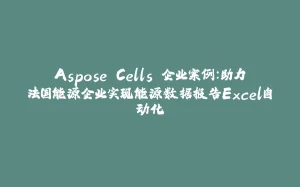 Aspose.Cells 企业案例:助力法国能源企业实现能源数据报告Excel自动化-拾光赋