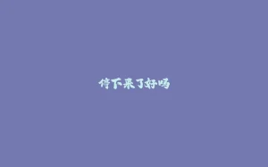 停下来了好吗-拾光赋