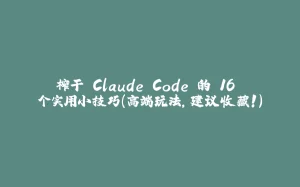 榨干 Claude Code 的 16 个实用小技巧(高端玩法,建议收藏!)-拾光赋