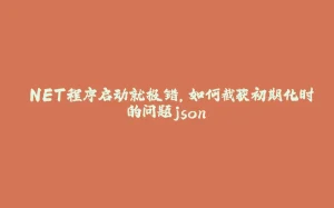 .NET程序启动就报错,如何截获初期化时的问题json-拾光赋