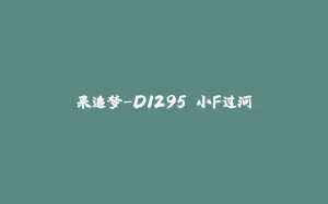 来追梦-D1295 小F过河-拾光赋