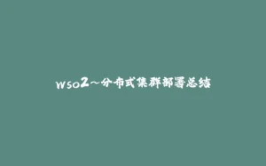 wso2~分布式集群部署总结-拾光赋