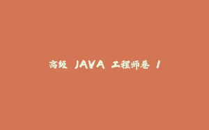 高级 JAVA 工程师卷 1-拾光赋