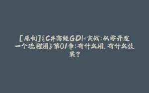 [原创]《C#高级GDI+实战：从零开发一个流程图》第01章：有什么用、有什么效果？-拾光赋