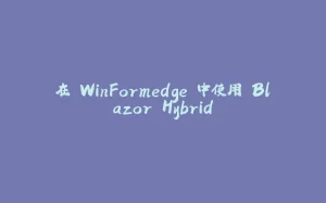 在 WinFormedge 中使用 Blazor Hybrid-拾光赋