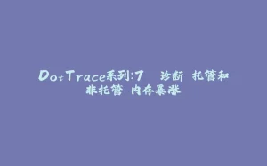 DotTrace系列:7. 诊断 托管和非托管 内存暴涨-拾光赋