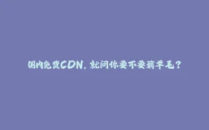国内免费CDN，就问你要不要薅羊毛？-拾光赋