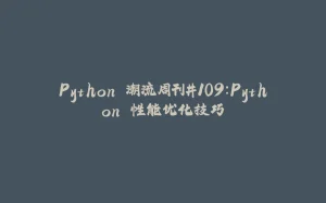 Python 潮流周刊#109：Python 性能优化技巧-拾光赋