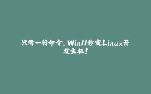 只需一行命令，Win11秒变Linux开发主机！-拾光赋