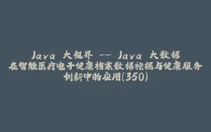 Java 大视界 -- Java 大数据在智能医疗电子健康档案数据挖掘与健康服务创新中的应用（350）-拾光赋