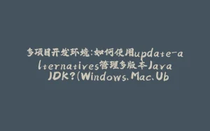 多项目开发环境：如何使用update-alternatives管理多版本Java JDK？（Windows、Mac、Ubuntu）-拾光赋