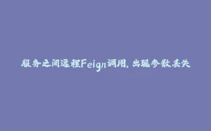 服务之间远程Feign调用，出现参数丢失-拾光赋