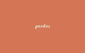pandas-拾光赋